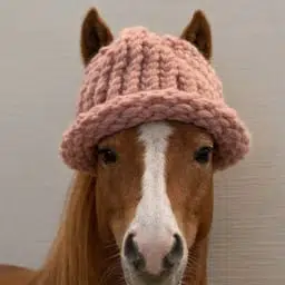 Horsewifhat logo