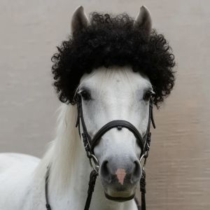HorseWifFro logo